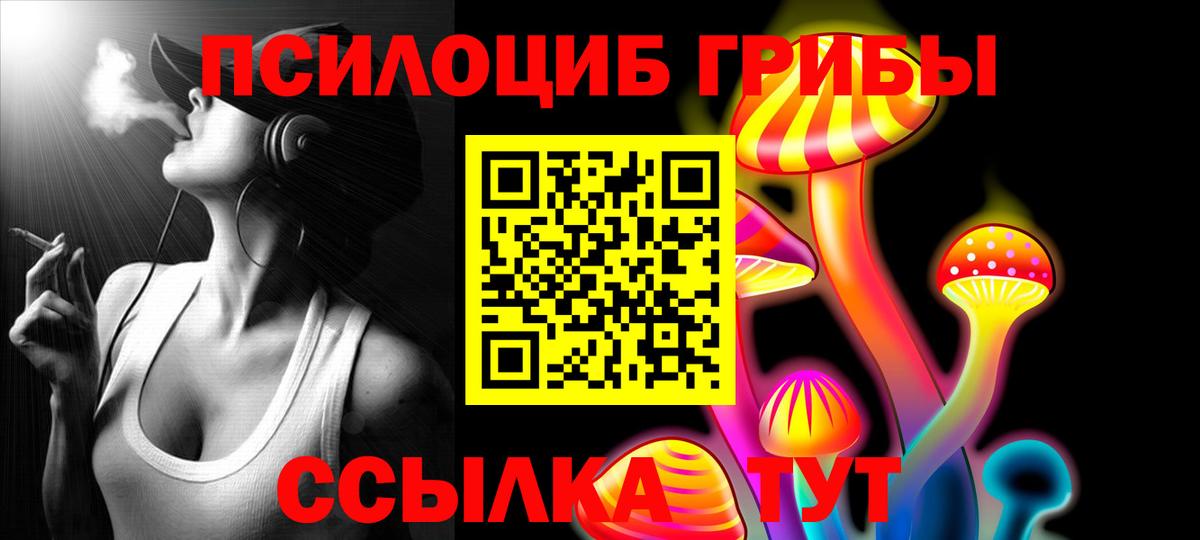 Псилоцибиновые грибы мицелий  Вход с VPN  Псилоцибиновые грибы GOLDEN TEACHER  Губкинский 